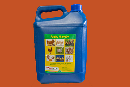 Poultry Microbes 5L